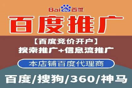 百度竞价赚钱攻略：实战案例分享